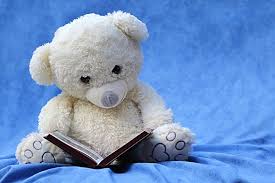 Book and Teddy