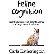 Feline Cognition